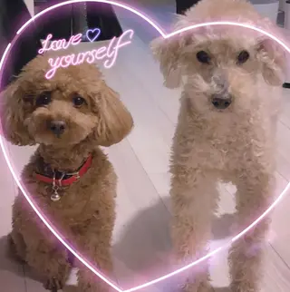 脱毛サロン RP（ルピ）のエステ・リラクイメージ