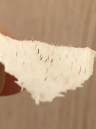 産毛専門店 Bittoのエステ・リラクイメージ