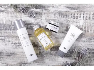 石坂 瀬音のヘアスタイル