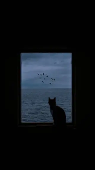 マツエク・マツパ 🩶バインドロック まつパ🩶由佳の眉毛・アイブロウイメージ