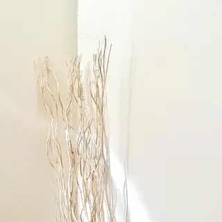 Largo🌿 明治神宮前／表参道のマツエク・マツパデザイン