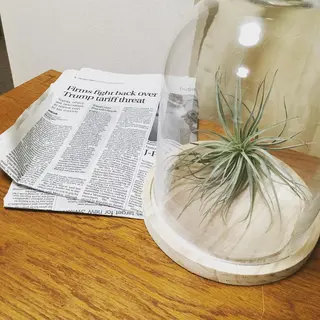 itoro所属・WAKUDA MOEMIのマツエク・マツパデザイン