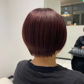 ショート YASU🍎CUT 赤系カラー/ヘアケアのヘアスタイル