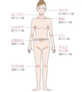 カラダ想いの体質改善 ラフイージーのエステ・リラクイメージ