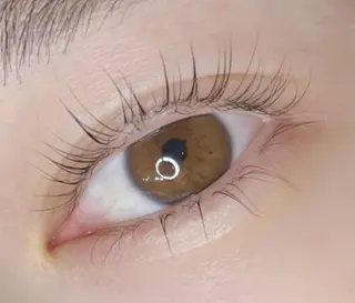 マツエク・マツパ 《eyelash ｉｉｔｅ》森のマツエク・マツパデザイン