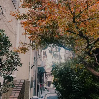 private salon SOU所属・ﾄｰﾀﾙｾﾗﾋﾟｽﾄ MANAのマツエク・マツパデザイン