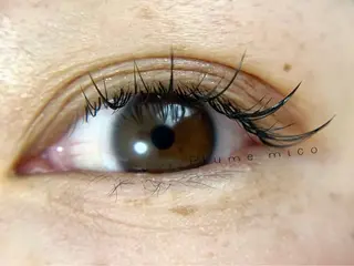 マツエク・マツパ Plume micoのマツエク・マツパデザイン