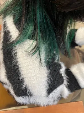 セミロング カラー さの あやねのヘアスタイル