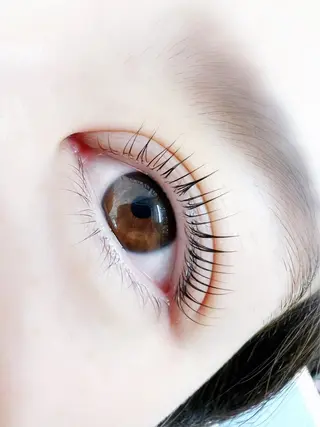 マツエク・マツパ アイブロウ 東野ゆい🌼 eyelashのマツエク・マツパデザイン