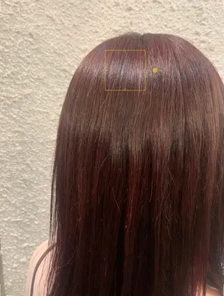 ミディアム カラー ♱地雷カラー♱ウルフ ♱ 藍衣 ♱のヘアスタイル