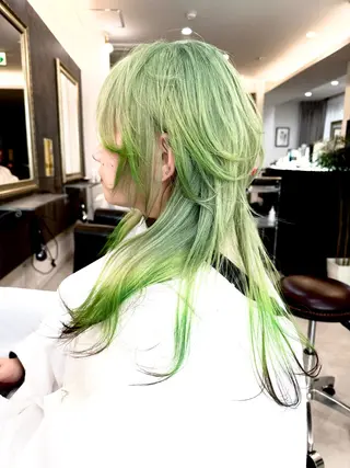 ショート カラー ハイトーン/レイヤー /ウルフ⭐️永田⭐️のヘアスタイル