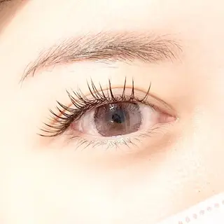 マツエク・マツパ Eyelash Lirio所属・EyeLash Lirio リリオのエステ・リラクイメージ