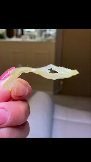 Reir・ SHIORIのマツエク・マツパデザイン