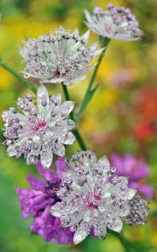 nail atelier  new moon所属・森 貴子のネイルデザイン