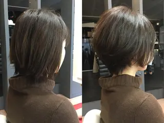 ショート 手櫛でストレート/ 人生を変える美髪へのヘアスタイル