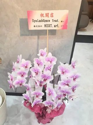 EyeLashSpace Trust.所属・アイラッシュスペース トラスト川越のマツエク・マツパデザイン