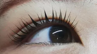 マツエク・マツパ angelux 所属・完全個室サロン🌹 angelux🌹のマツエク・マツパデザイン