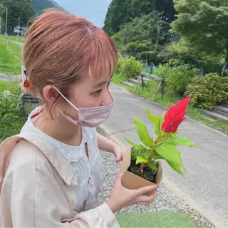 ショート ヘアアレンジ なつき/艶ピンク/ girly hairのヘアスタイル