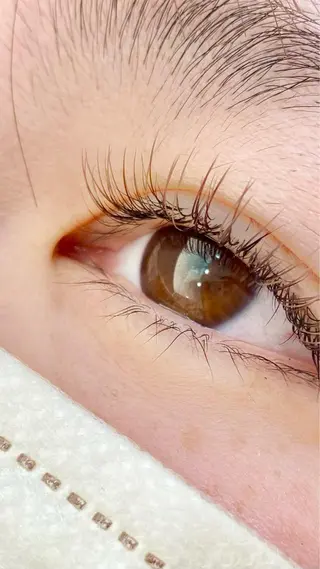 マツエク・マツパ Crescent Eye Ayakaのマツエク・マツパデザイン