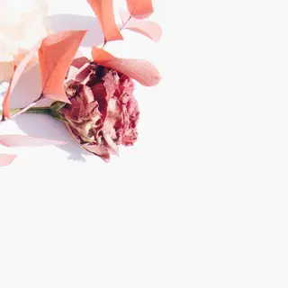 TIÁM eyelashのマツエク・マツパデザイン