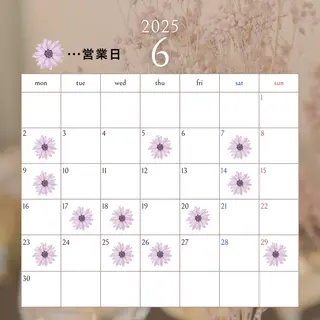 マツエク・マツパ Seika eyeのマツエク・マツパデザイン