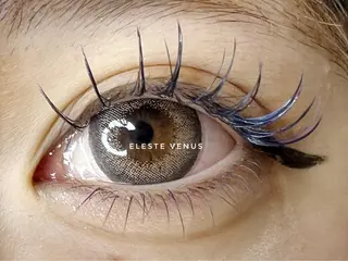 マツエク・マツパ Celeste Venus所属・🧸Celeste Venusのマツエク・マツパデザイン