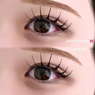 マツエク・マツパ EYELA 小築🐈‍⬛🤍のマツエク・マツパデザイン