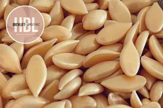 アイブロウ －Ojiー セナのマツエク・マツパデザイン