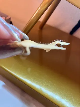 Lumiere despoir所属・Lumiere despoirのエステ・リラクイメージ