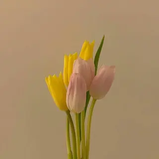 ใใใจใฏใปใใใ ๐๐ช๐ช๐ ๐ .ใฎใใใจใฏใปใใใใใถใคใณ