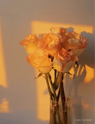 Bianca 銀座 Hinanoのネイルデザイン