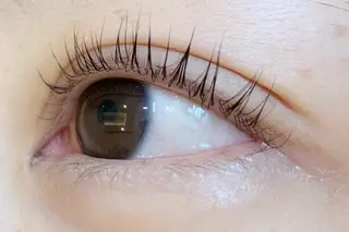 マツエク・マツパ Takamiya Natsukiのマツエク・マツパデザイン