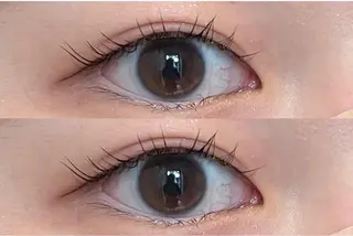 マツエク・マツパ PLUME🕊 yuunaのマツエク・マツパデザイン