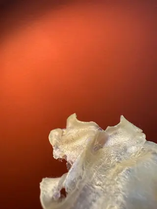 マツヤニワックス専門 堂山町 ルミエールのエステ・リラクイメージ