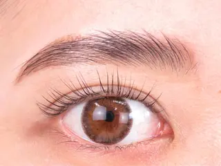 マツエク・マツパ アイブロウ パーソナルカラー診断 Petit六本木の眉毛・アイブロウイメージ