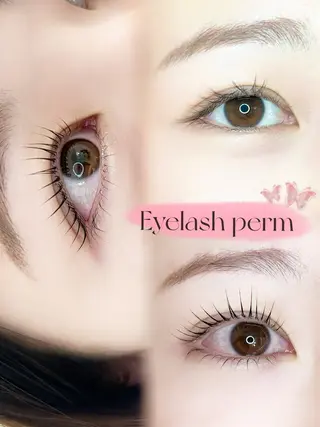 マツエク・マツパ Cilune三軒茶屋所属・Kitta/三軒茶屋 まつげ/眉毛のマツエク・マツパデザイン