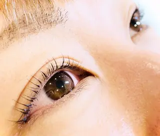 マツエク・マツパ Dolce eye lash ねごろのマツエク・マツパデザイン