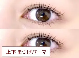 マツエク・マツパ alicetokyo 樋口の眉毛・アイブロウイメージ