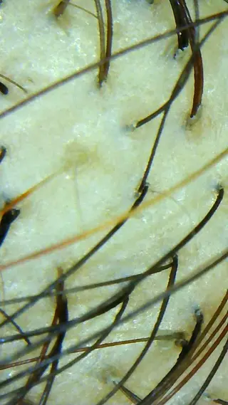 セントラル鍼灸院 Re:laxyのエステ・リラクイメージ