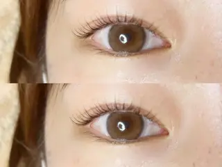 マツエク・マツパ 《eyelash ｉｉｔｅ》森のマツエク・マツパデザイン