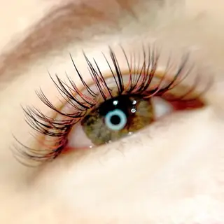 マツエク・マツパ 🪸似合わせ/お悩み 解決🪸しもだのマツエク・マツパデザイン