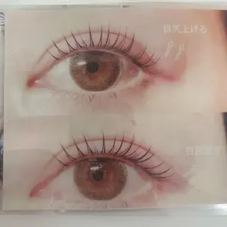 マツエク・マツパ 伊藤 becky lashのマツエク・マツパデザイン