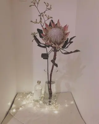 basico  のエステ・リラクイメージ