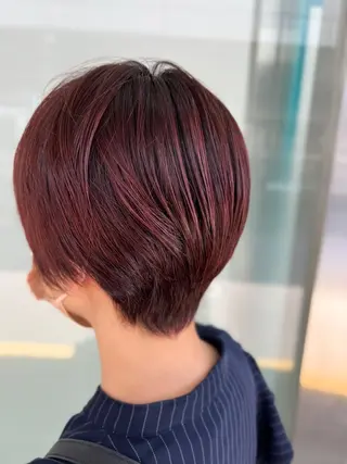 ショート カラー 指原 仁のヘアスタイル