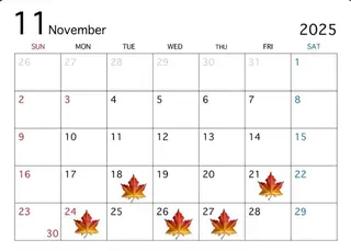 レイヤーカット/ 名古屋/Ayakaのヘアスタイル