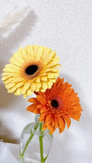 高岡⌇ Ayaka🌻のエステ・リラクイメージ