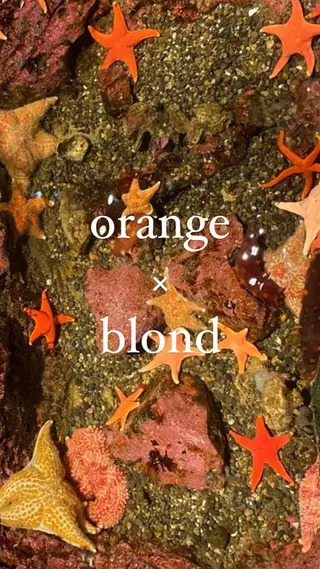 カラー 束所属・毛流れセンターパート Sakiのヘアスタイル