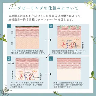 aesthetic  Sincerity所属・aesthetic Sincerityの眉毛・アイブロウイメージ
