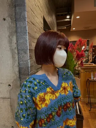 ショート カラー コバヤシ リナのヘアスタイル