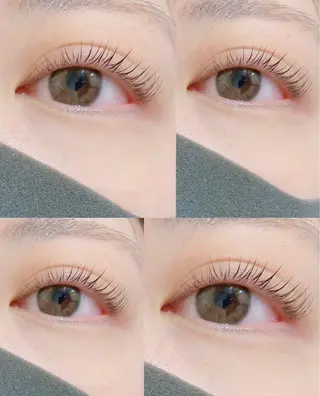 マツエク・マツパ 池野 咲眞の眉毛・アイブロウイメージ